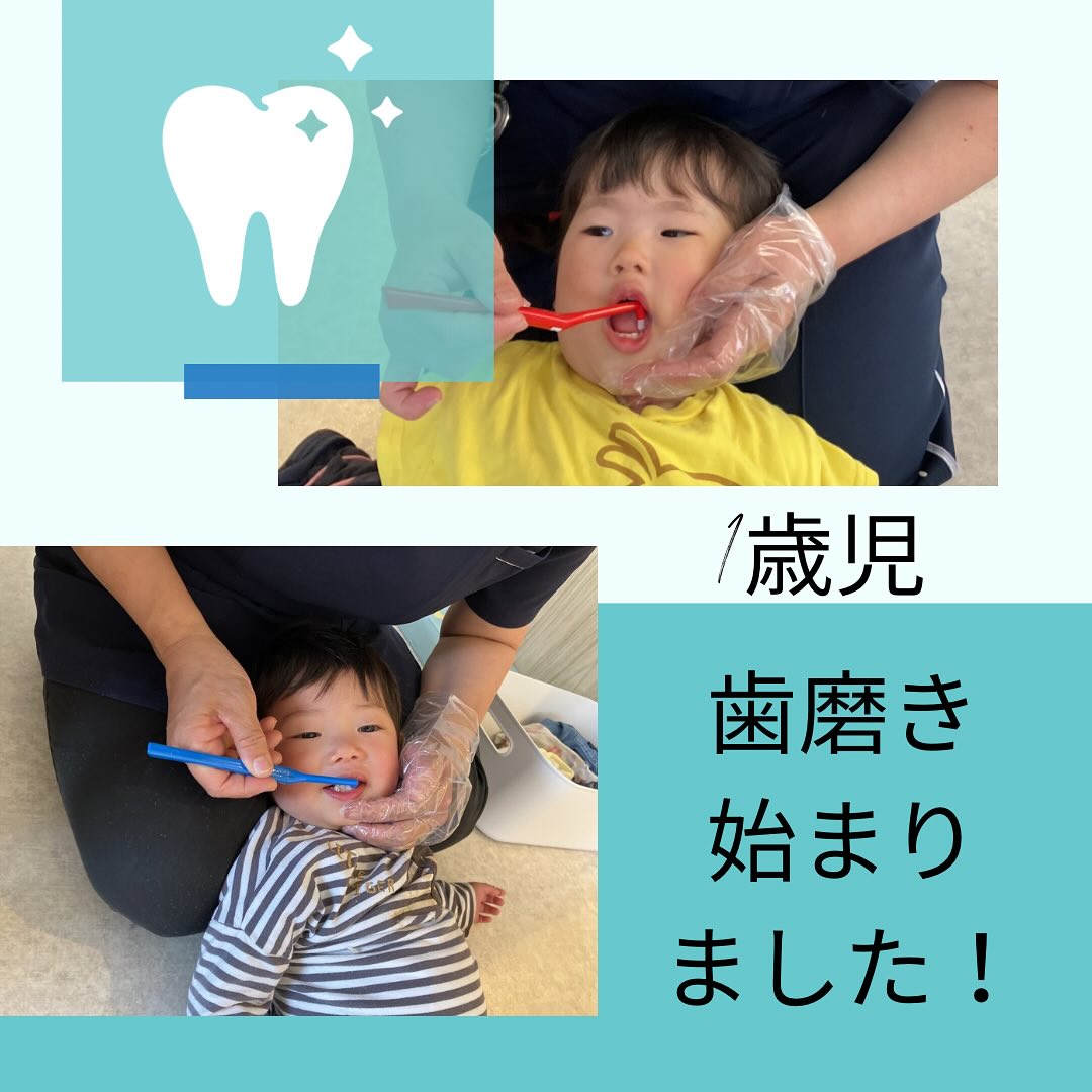 🪥歯磨き🪥　給食後の歯磨きが始まりました！始めは、歯磨きに抵抗があった子どもたちも、少しずつ歯磨きに慣れて来て、大きな口を開けて保育者に綺麗に磨いてもらっていますよ🦷#spオーク保育園 #歯磨き始めました🪥 #１歳児クラス #歯磨き #茨木市 #企業主導型保育施設 #駅近保育園 #茨木 #保育園